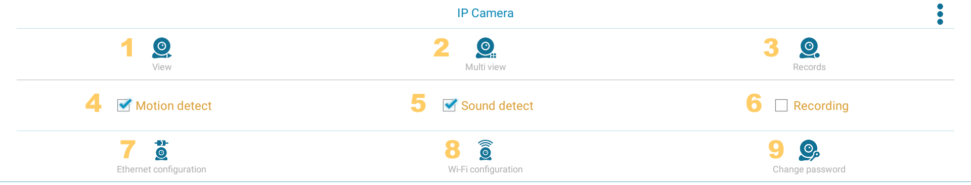 IP camera